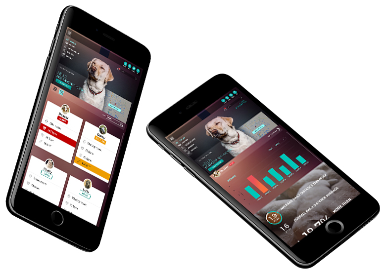 Veterinarian Clinic Management Application Concept User Experience Design by RORBADY